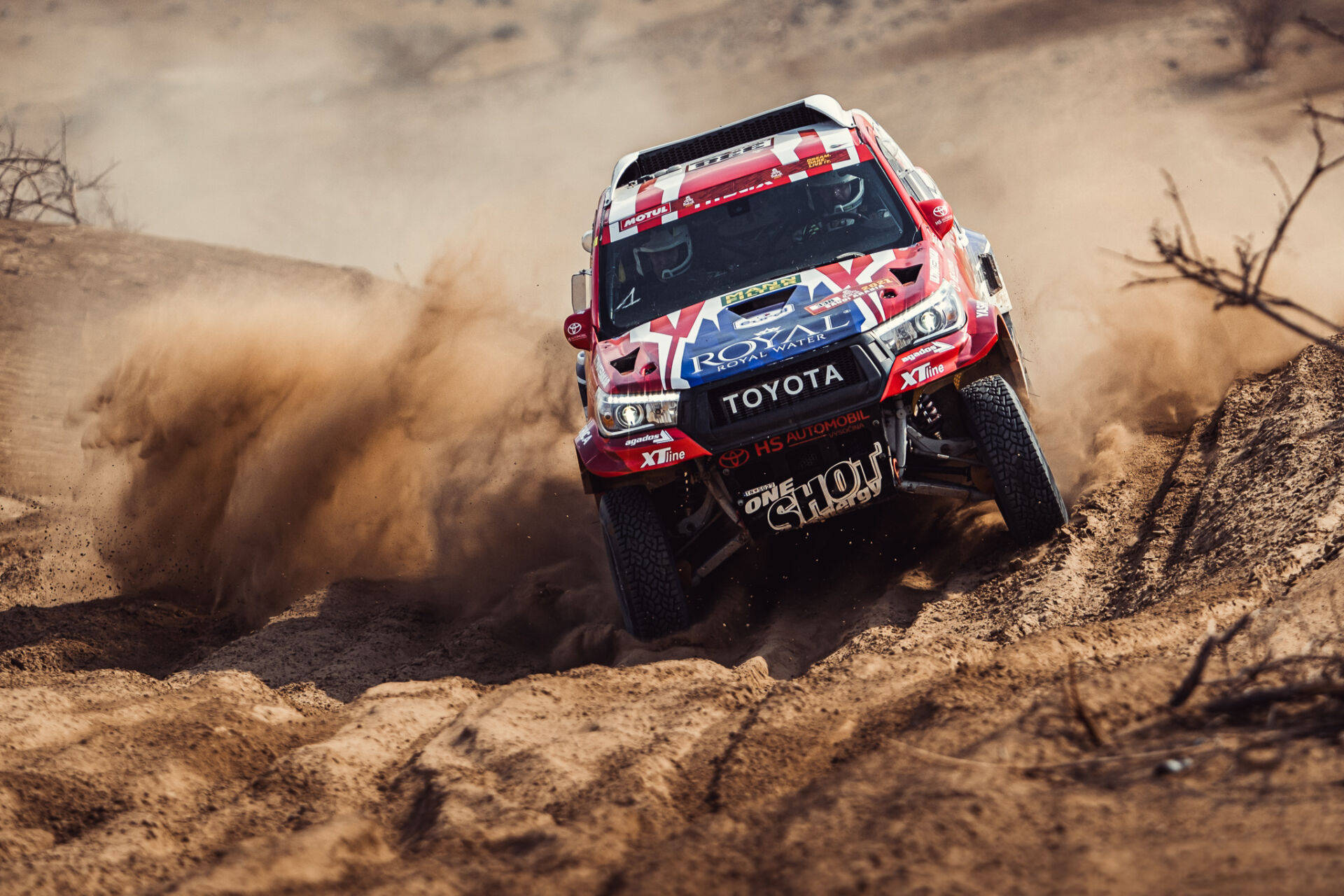 Dakar 2021: Another successful finish